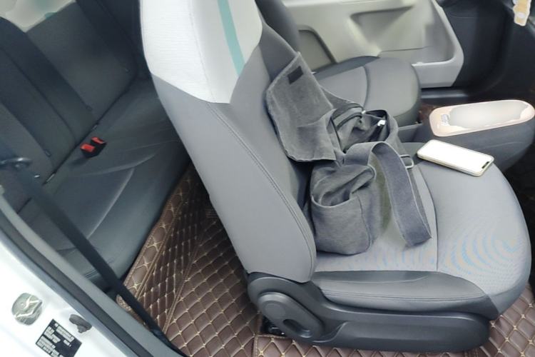 Used CHANGAN NEVO Lumin 2023 205km Xiangqin Version Right Front Seat