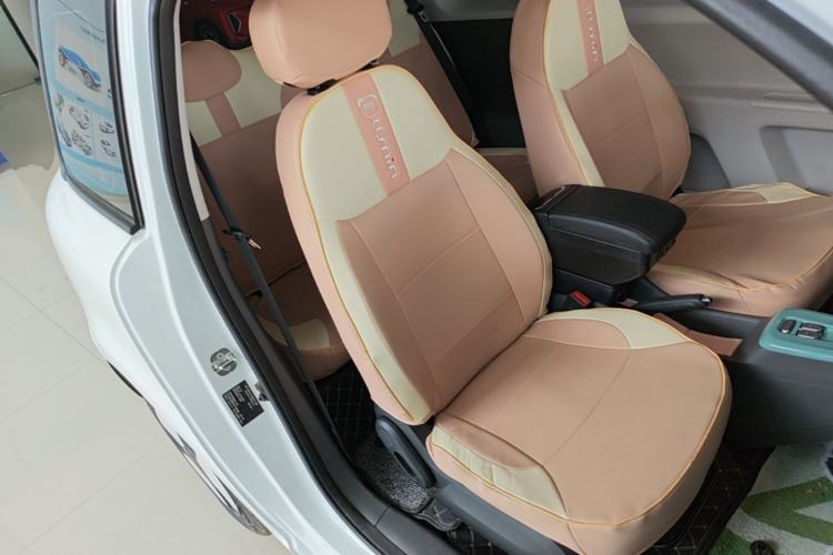Used CHANGAN NEVO Lumin 2023 205km Xiangqin Version Right Front Seat