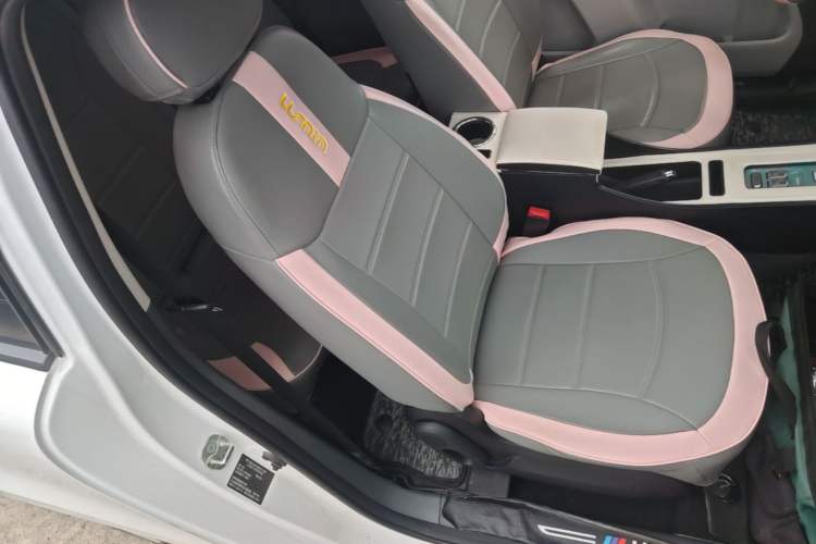 Used CHANGAN NEVO Lumin 2023 205km Xiangqin Version Right Front Seat