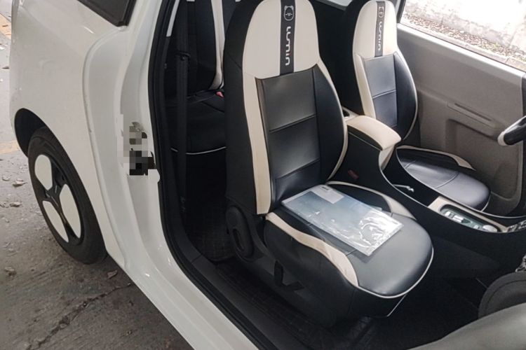 Used CHANGAN NEVO Lumin 2023 205km Xiangqin Version Right Front Seat