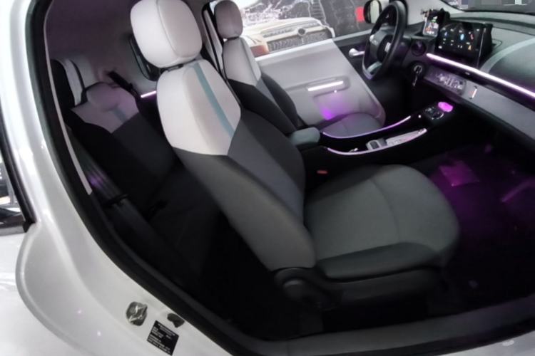Used CHANGAN NEVO Lumin 2023 205km Xiangqin Version Right Front Seat