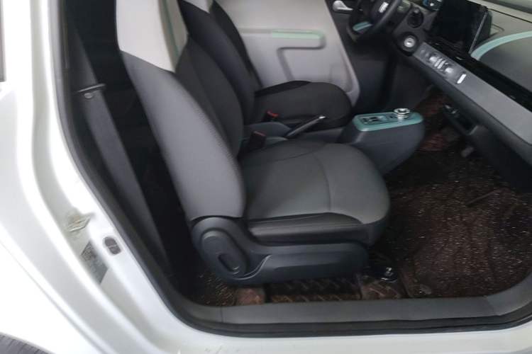 Used CHANGAN NEVO Lumin 2023 205km Xiangqin Version Right Front Seat