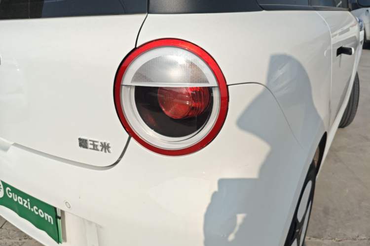 Used CHANGAN NEVO Lumin 2023 205km Xiangqin Version Right Rear Taillight
