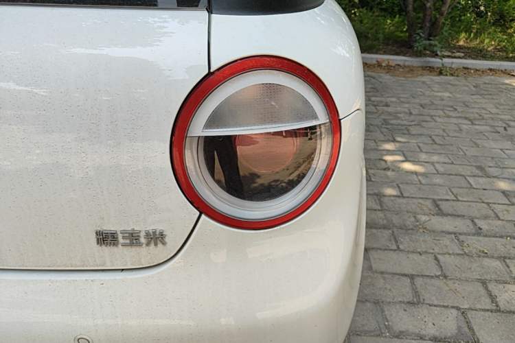 Used CHANGAN NEVO Lumin 2023 205km Xiangqin Version Right Rear Taillight