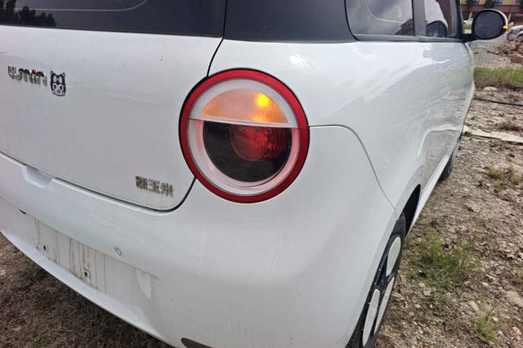 Used CHANGAN NEVO Lumin 2023 205km Xiangqin Version Right Rear Taillight