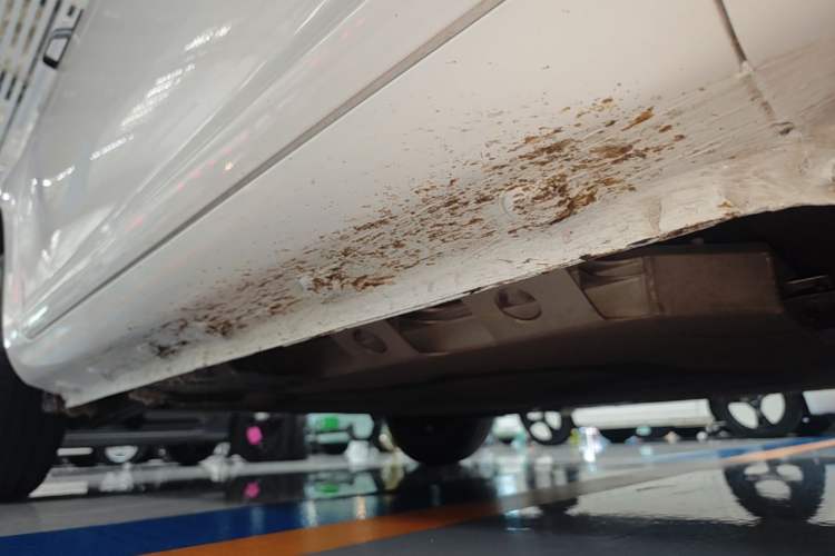 Used CHANGAN NEVO Lumin 2023 301km Honey Dew Edition Right Side Sill