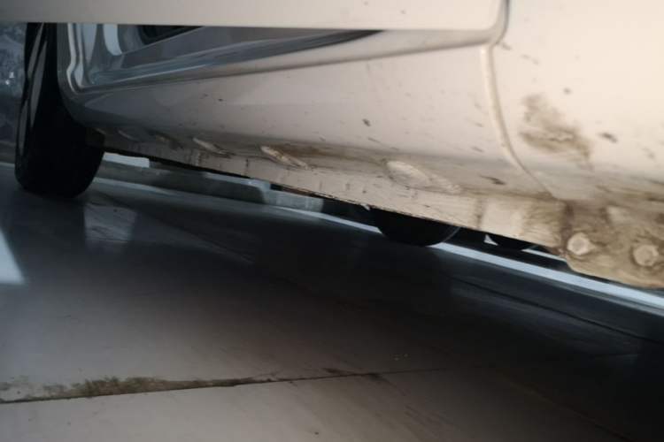 Used CHANGAN NEVO Lumin 2023 205km Xiangqin Version Right Side Sill