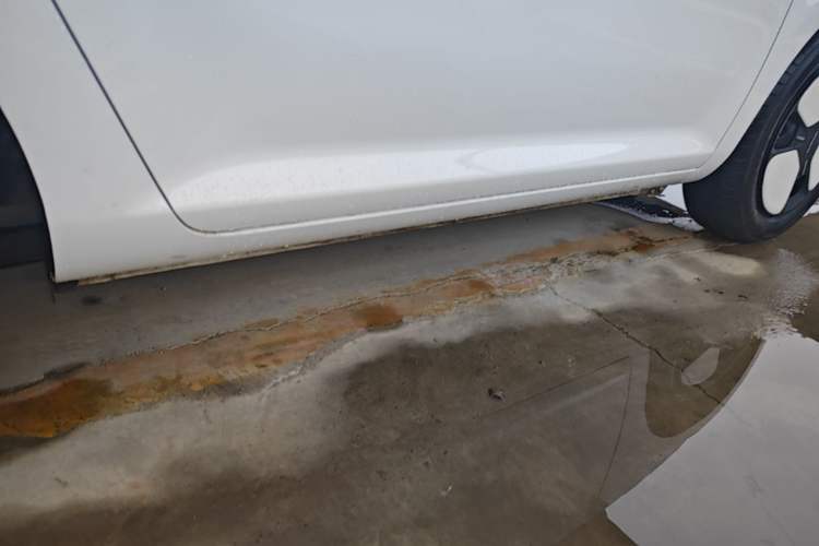 Used CHANGAN NEVO Lumin 2023 205km Xiangqin Version Right Side Sill