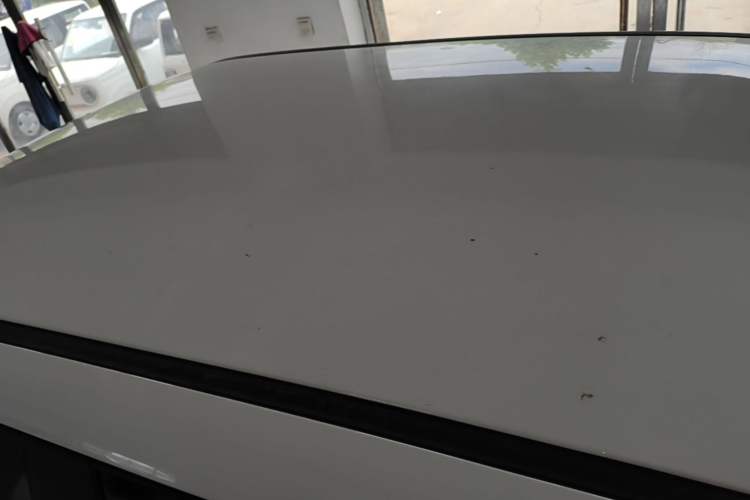 Used CHANGAN NEVO Lumin 2023 205km Xiangqin Version Roof