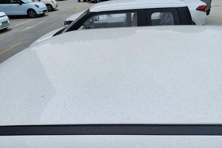 Used CHANGAN NEVO Lumin 2023 205km Xiangqin Version Roof