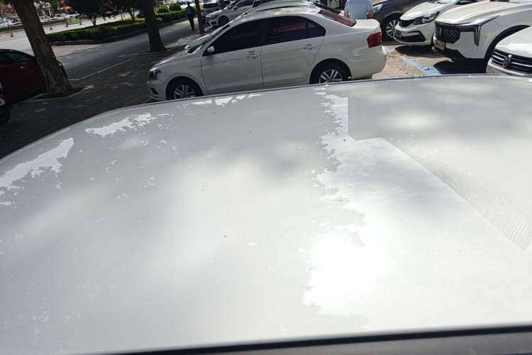 Used CHANGAN NEVO Lumin 2023 205km Xiangqin Version Roof