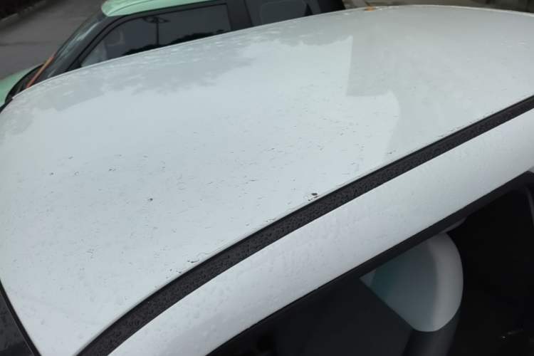Used CHANGAN NEVO Lumin 2023 205km Xiangqin Version Roof