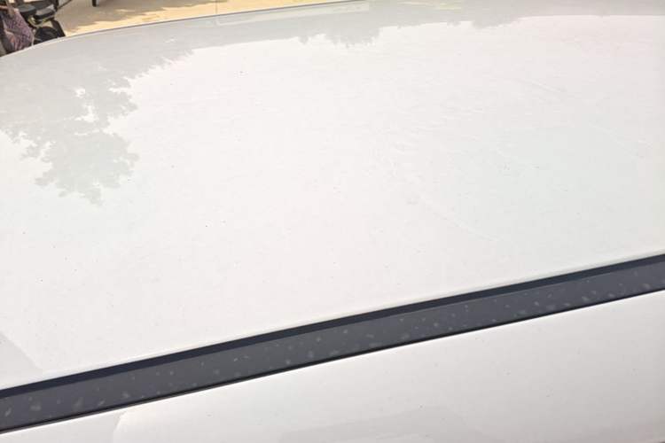 Used CHANGAN NEVO Lumin 2023 301km Honey Dew Edition Roof