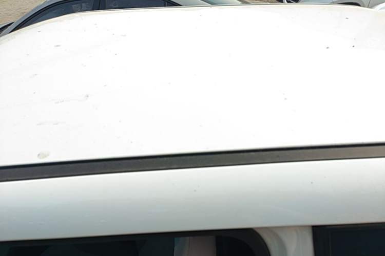 Used CHANGAN NEVO Lumin 2023 205km Xiangqin Version Roof