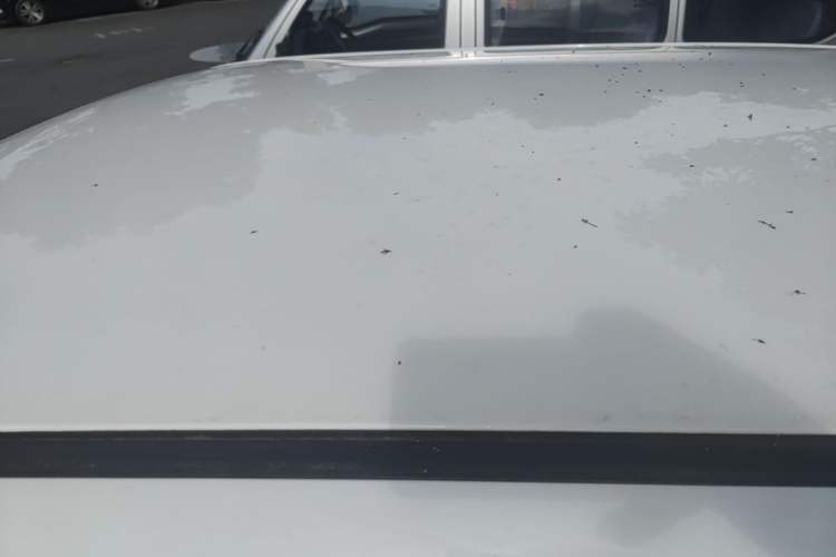 Used CHANGAN NEVO Lumin 2023 205km Xiangqin Version Roof