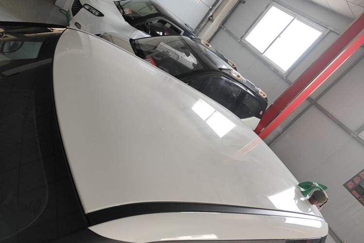 Used CHANGAN NEVO Lumin 2023 205km Xiangqin Version Roof