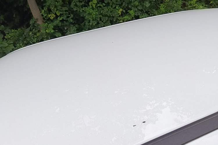 Used CHANGAN NEVO Lumin 2023 301km Honey Dew Edition Roof