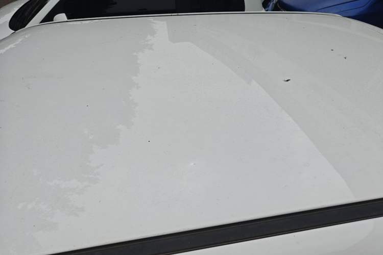 Used CHANGAN NEVO Lumin 2023 205km Xiangqin Version Roof