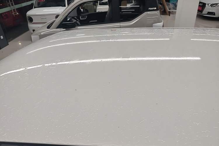 Used CHANGAN NEVO Lumin 2023 205km Xiangqin Version Roof