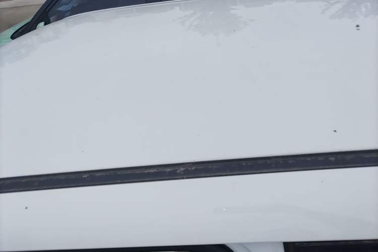 Used CHANGAN NEVO Lumin 2023 205km Xiangqin Version Roof