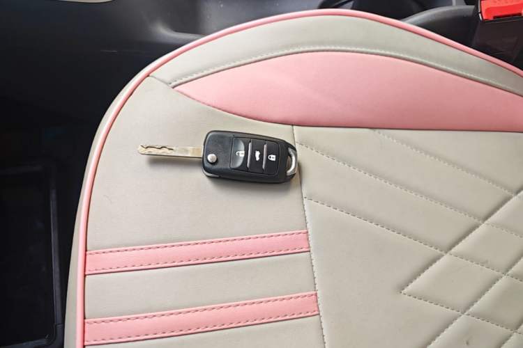 Used CHANGAN NEVO Lumin 2023 205km Xiangqin Version Vehicle Key