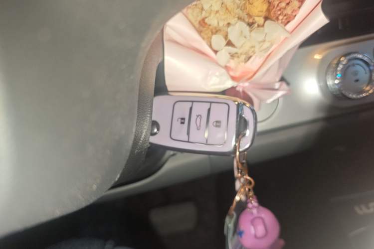 Used CHANGAN NEVO Lumin 2023 205km Xiangqin Version Vehicle Key