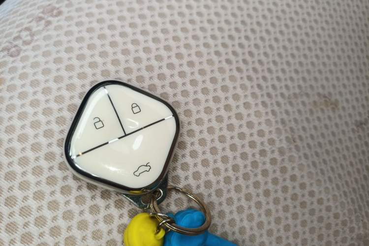 Used CHANGAN NEVO Lumin 2023 205km Xiangqin Version Vehicle Key