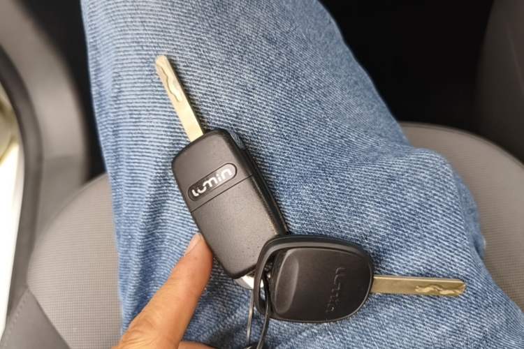 Used CHANGAN NEVO Lumin 2023 205km Xiangqin Version Vehicle Key