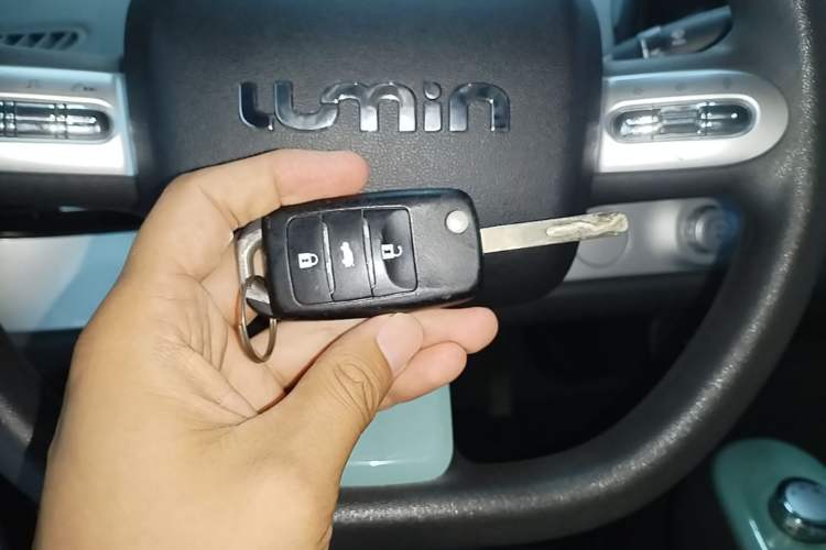 Used CHANGAN NEVO Lumin 2023 205km Xiangqin Version Vehicle Key