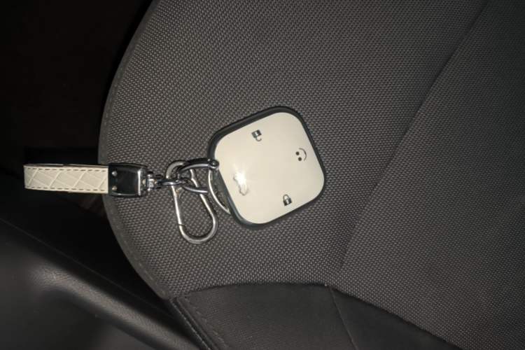 Used CHANGAN NEVO Lumin 2023 301km Honey Dew Edition Vehicle Key