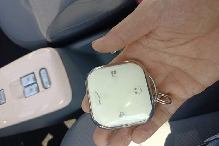 Used CHANGAN NEVO Lumin 2023 205km Xiangqin Version Vehicle Key