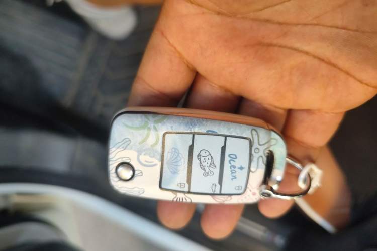 Used CHANGAN NEVO Lumin 2023 301km Honey Dew Edition Vehicle Key