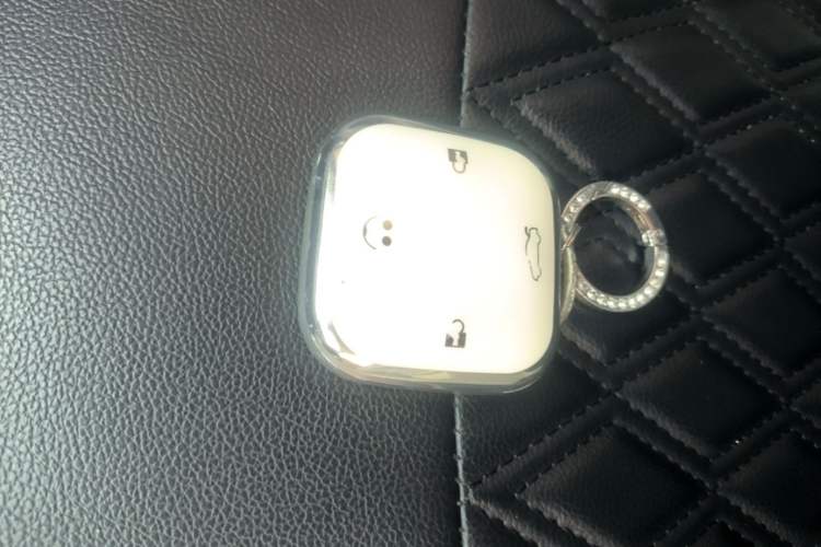 Used CHANGAN NEVO Lumin 2023 205km Xiangqin Version Vehicle Key