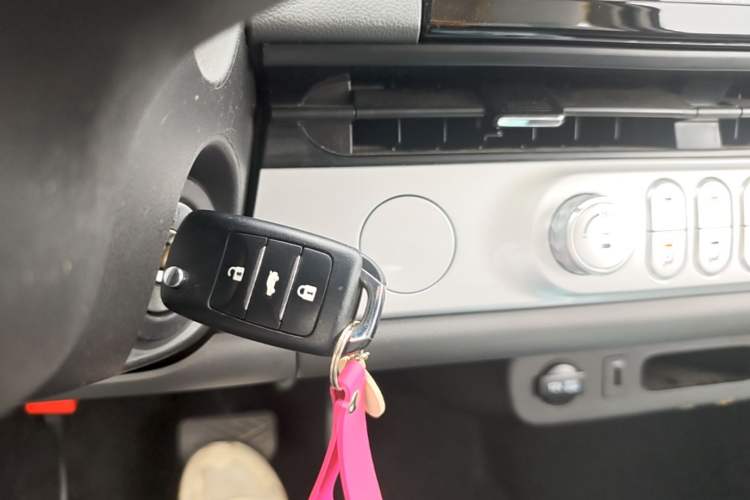 Used CHANGAN NEVO Lumin 2023 205km Xiangqin Version Vehicle Key