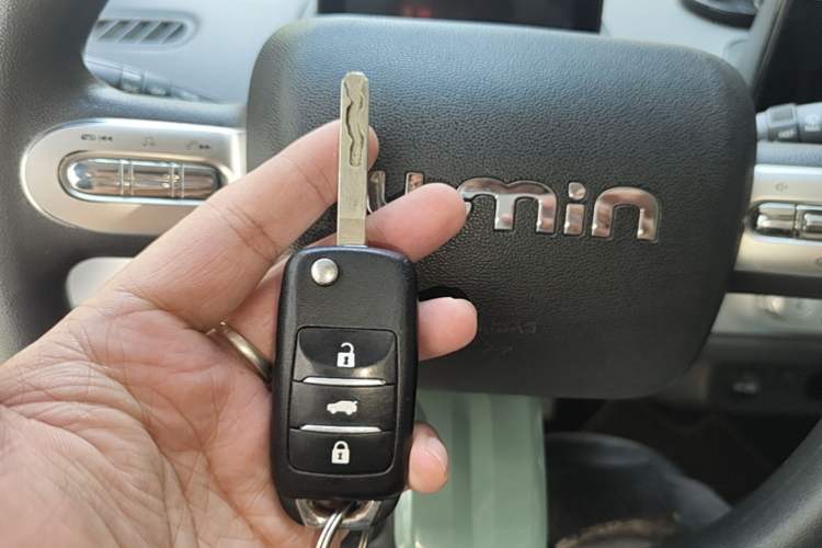 Used CHANGAN NEVO Lumin 2023 205km Xiangqin Version Vehicle Key