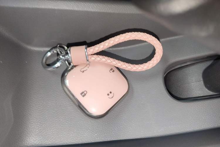 Used CHANGAN NEVO Lumin 2023 205km Xiangqin Version Vehicle Key