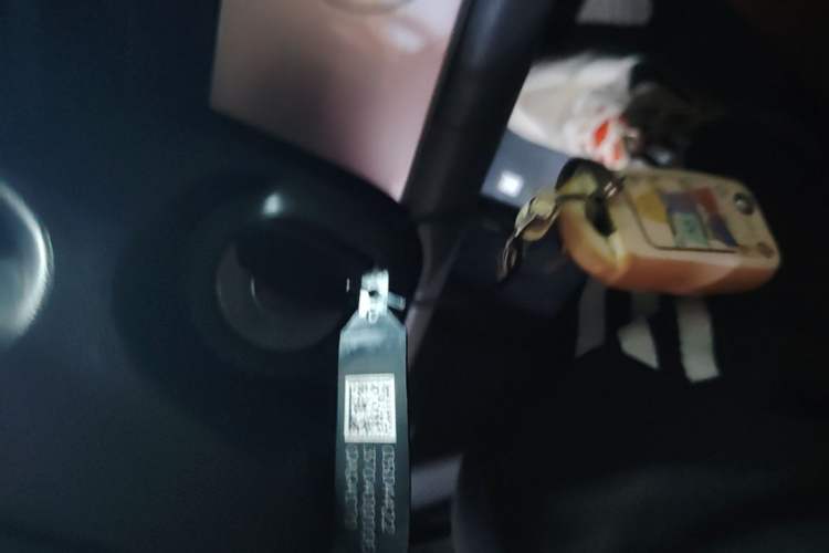Used CHANGAN NEVO Lumin 2023 205km Xiangqin Version Vehicle Key