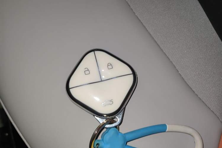 Used CHANGAN NEVO Lumin 2023 205km Xiangqin Version Vehicle Key
