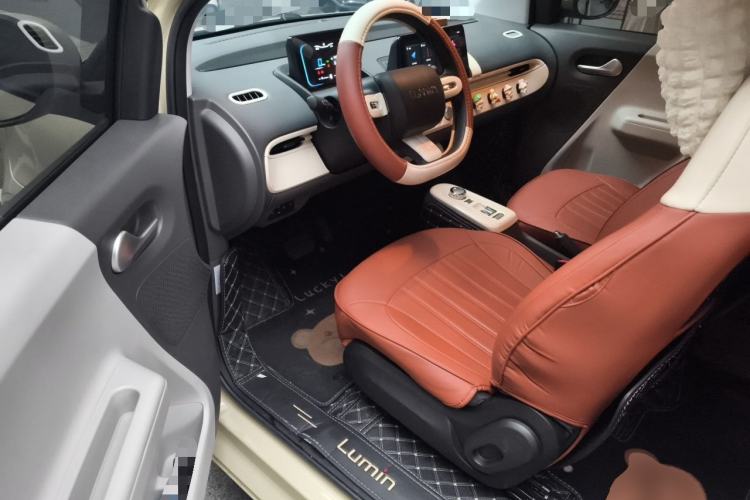 Used CHANGAN NEVO Lumin 2023 205km Xiangqin Version Driver Seat