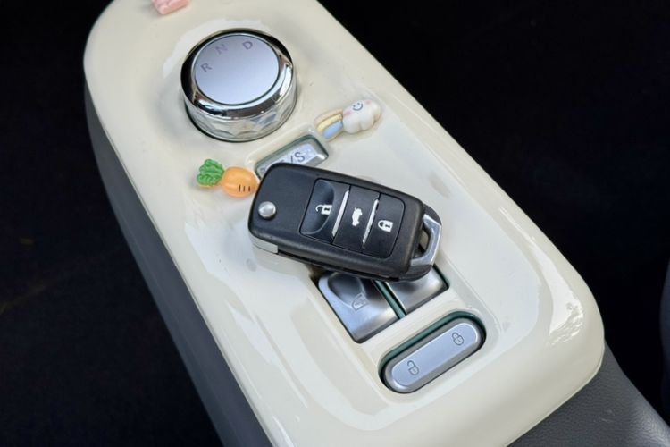Used CHANGAN NEVO Lumin 2023 301km Honey Dew Edition Interior 4