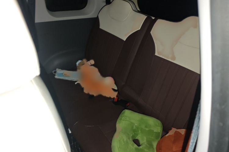 Used CHANGAN NEVO Lumin 2023 205km Xiangqin Version Interior 4