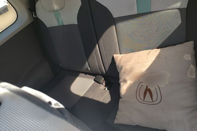 Used CHANGAN NEVO Lumin 2023 205km Xiangqin Version Left Rear Seat