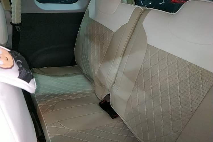Used CHANGAN NEVO Lumin 2023 205km Xiangqin Version Left Rear Seat