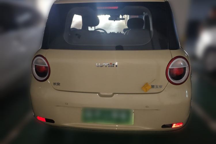 Used CHANGAN NEVO Lumin 2023 205km Xiangqin Version Rear