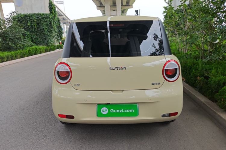 Used CHANGAN NEVO Lumin 2023 205km Xiangqin Version Rear