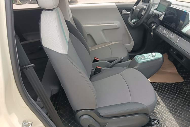 Used CHANGAN NEVO Lumin 2023 205km Xiangqin Version Right Front Seat