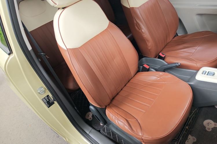 Used CHANGAN NEVO Lumin 2023 205km Xiangqin Version Right Front Seat