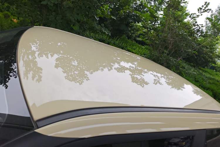 Used CHANGAN NEVO Lumin 2023 205km Xiangqin Version Roof