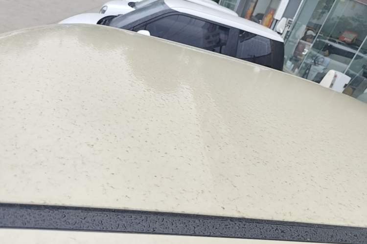 Used CHANGAN NEVO Lumin 2023 205km Xiangqin Version Roof
