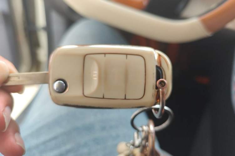 Used CHANGAN NEVO Lumin 2023 205km Xiangqin Version Vehicle Key